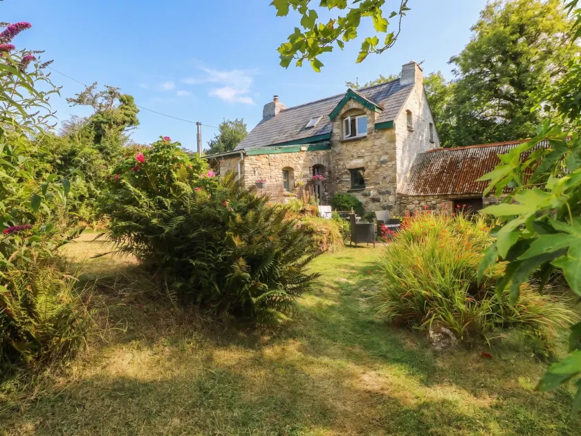Penfeidr Newydd - Image 1