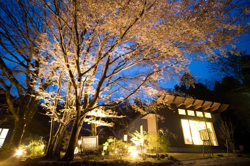 Forest Inn Born - Image 1