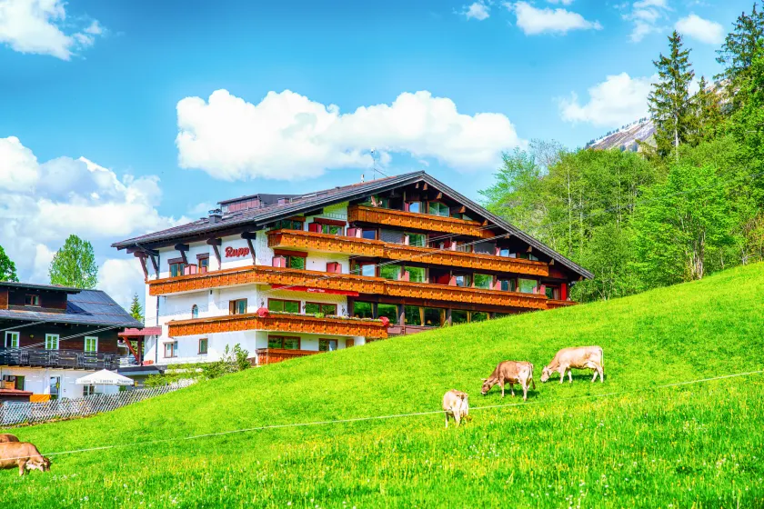 Ski- und Aktivhotel Almhof Rupp - Image 1