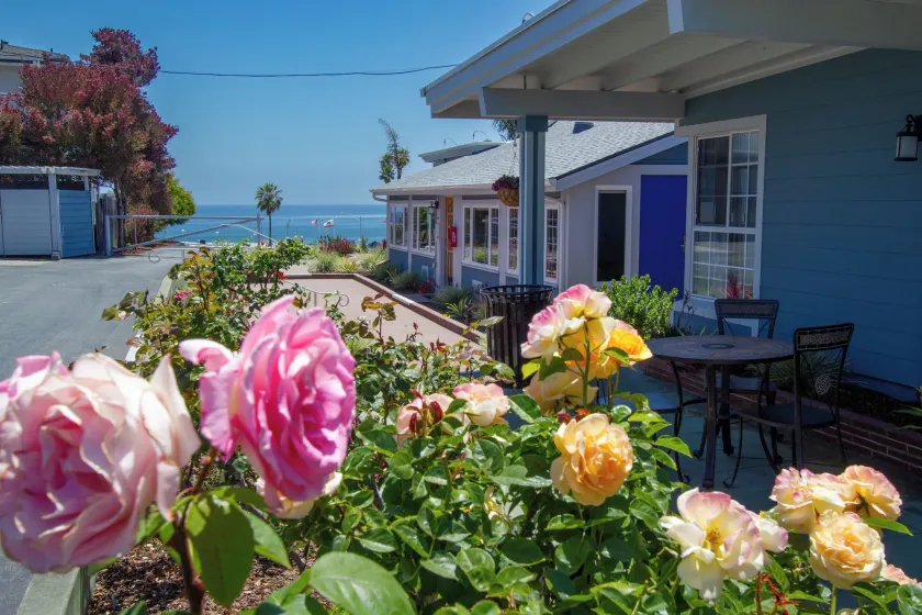 Edgewater Beach Inn - Image 1