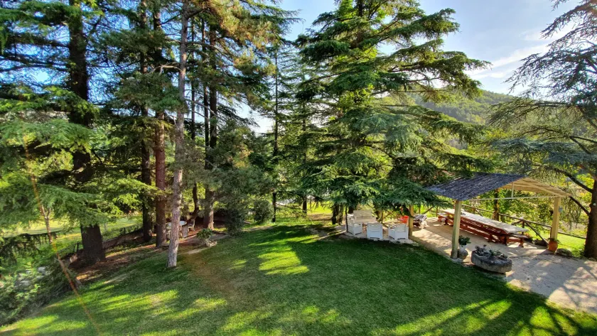 Affittacamere Villa Molinello - Image 1