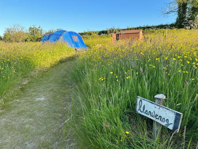 Frowen Fields Eco Glamping and Camping - Image 1