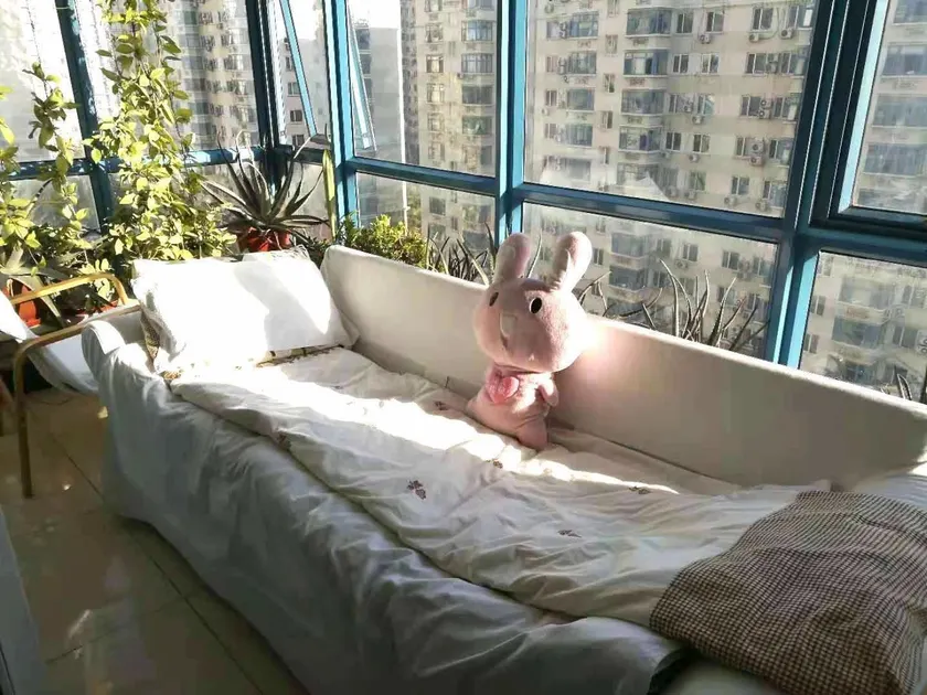 Golden guesthouse - Image 1