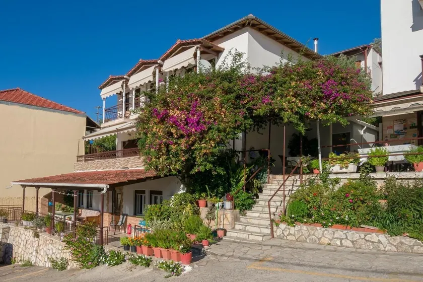 Pension Holidays - Image 1