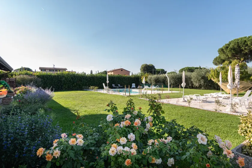 Rosa di Assisi - Image 1