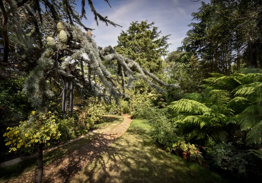 Ward Avenue B&B - Image 1