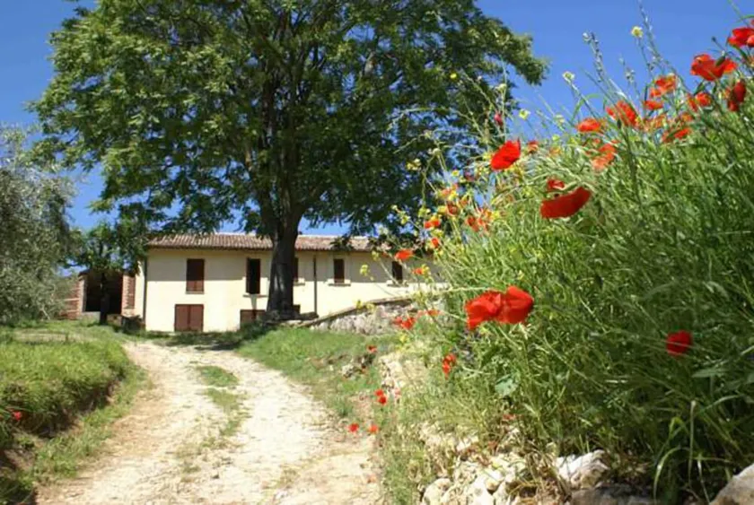 La Perticara Agriturismo - Image 1