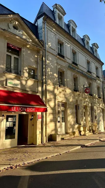 Brit Hotel Chinon le Lion d'Or  - Image 1