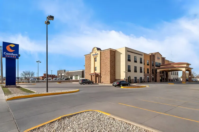 Comfort Suites Roswell North - Image 1