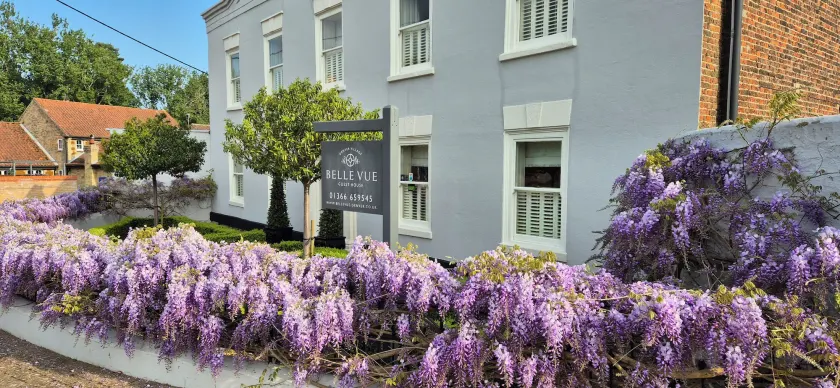 Belle Vue Guest House - Image 1
