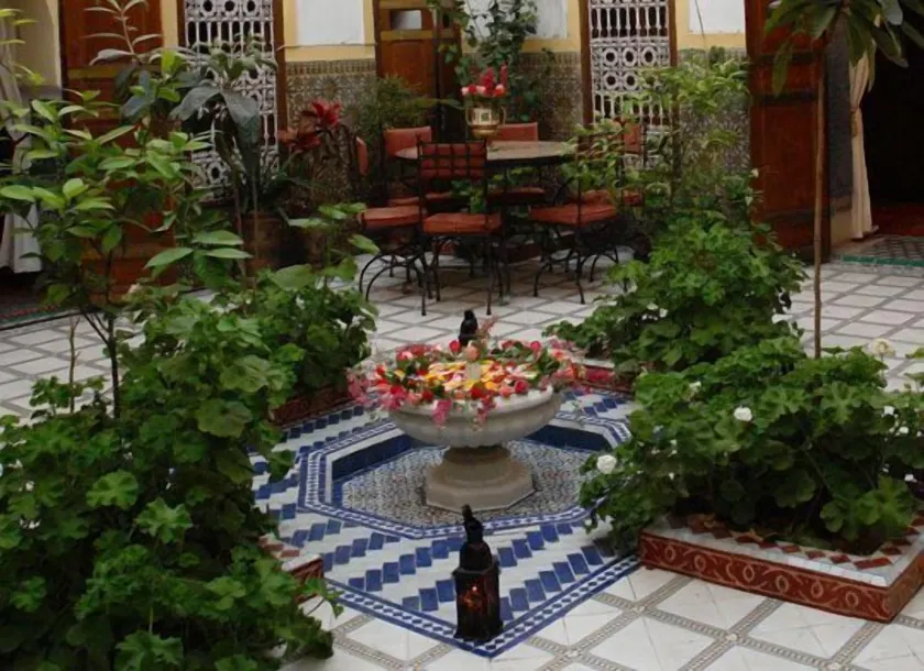 Riad Dalia - Image 1