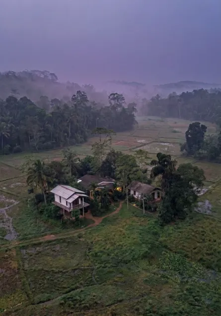 Forest & Fields Sinharaja - Image 1