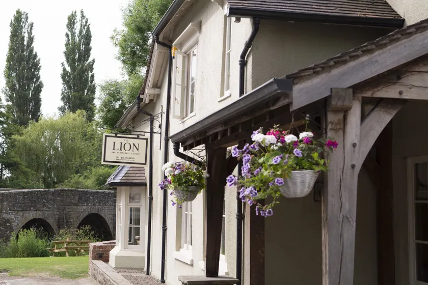 The Lion - Image 1