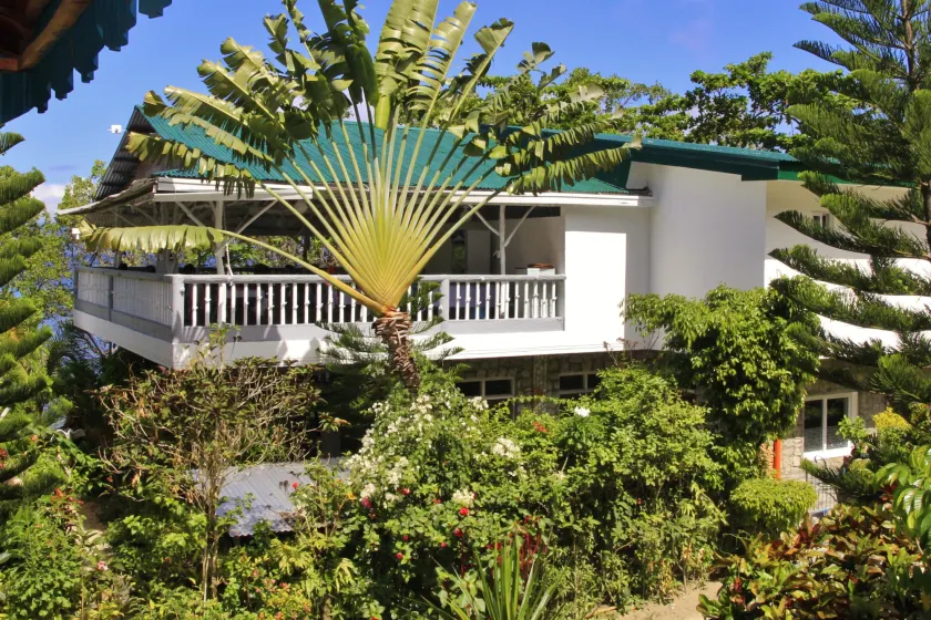 The Three P Beach Resort & Dive Center - Image 1