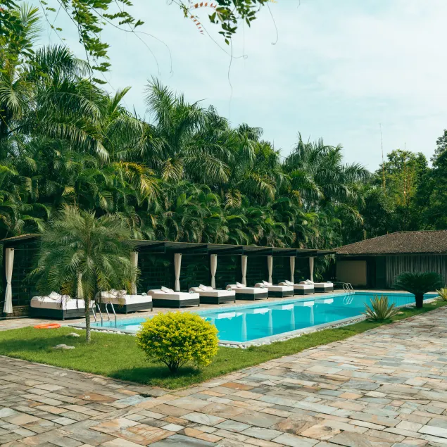 Kasara Chitwan - Image 1