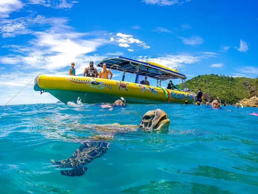 Shingley Beach Resort - Whitsundays - Image 1