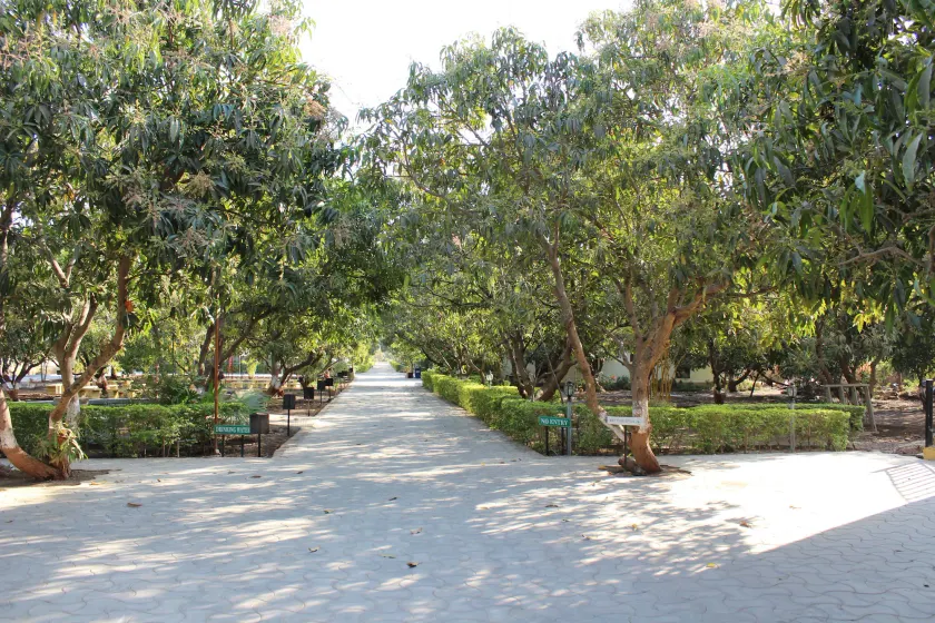 Gir Jungle Lodge - Image 1