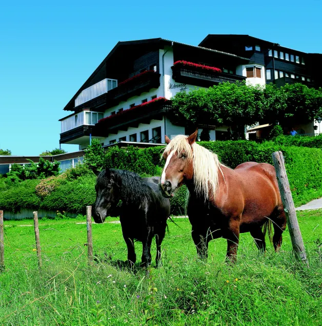 Aldranser Hof - Image 1