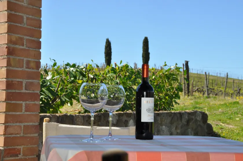 Castello di Selvole-Adults Only - Image 1