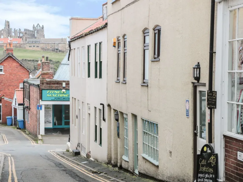 Seahorse - Image 1