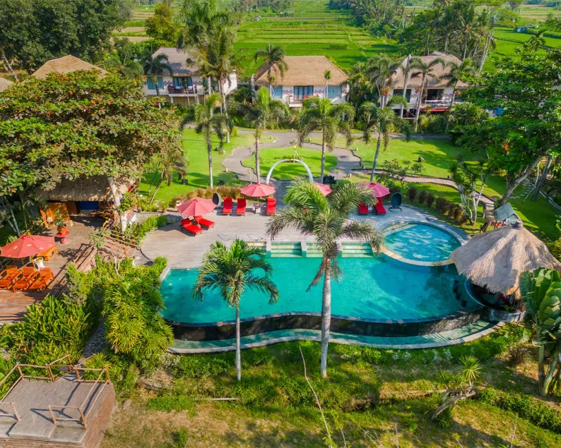 Mara River Safari Lodge Bali - Image 1
