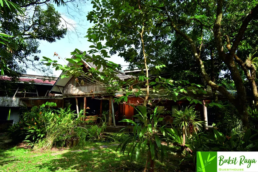 Bukit Raya Guesthouse - Image 1