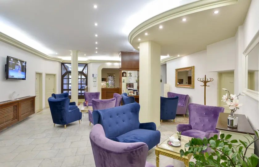 Spa Hotel Continental - Sala de estar do lobby