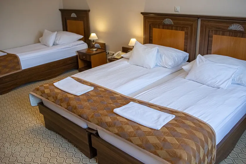 Öreg Miskolcz Hotel - Image 1