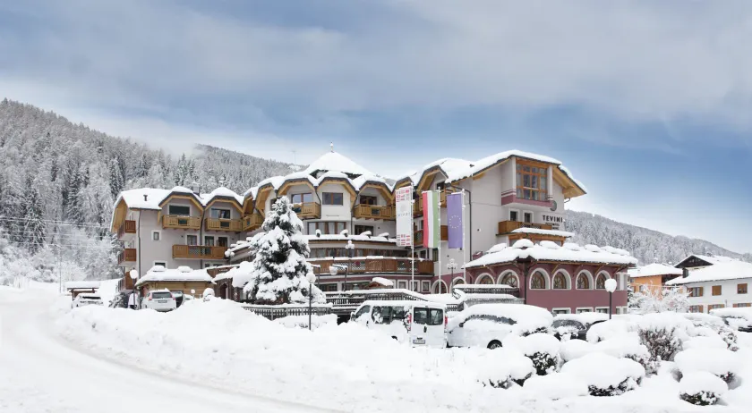 Tevini Dolomites Charming Hotel - Image 1