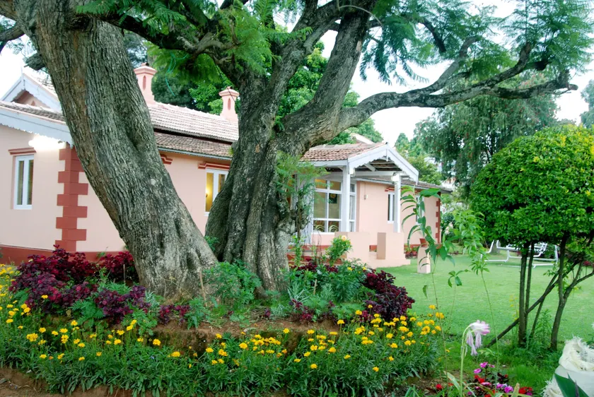 Bella Vista Homestay - Image 1