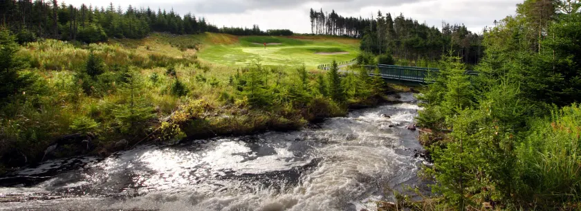 The Wilds at Salmonier River - Image 1