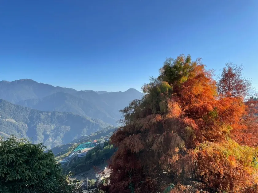 31 Homestay - Image 1