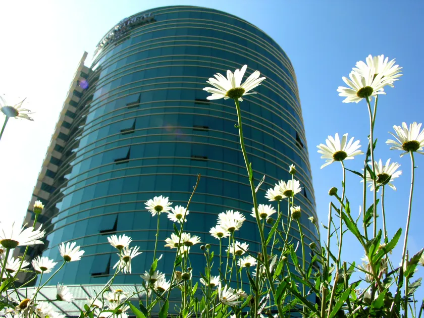 Suites Camino Real - Image 1