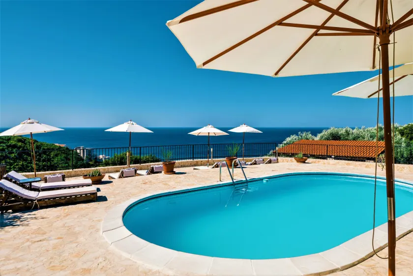 Holiday Park Olive Tree - Image 1