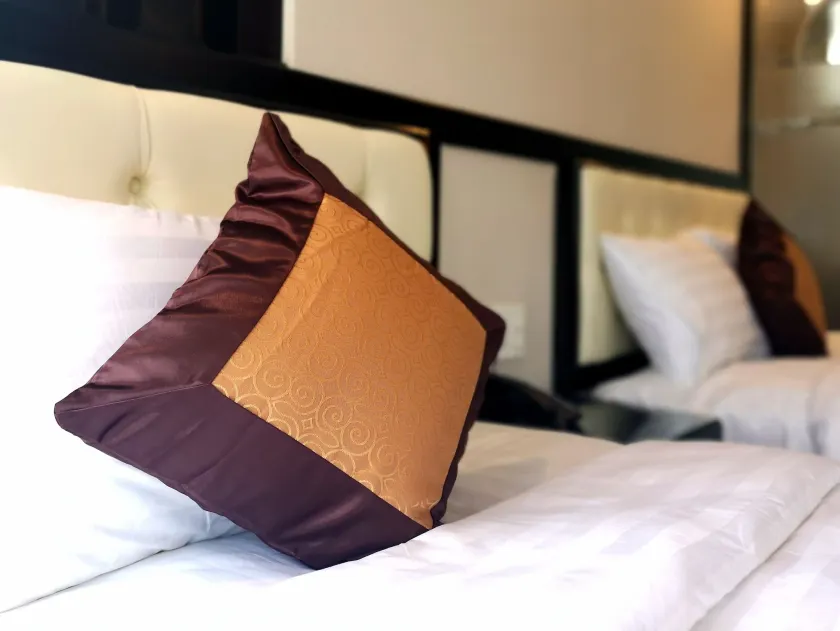 Minh Tuyết Luxury Hotel - Image 1