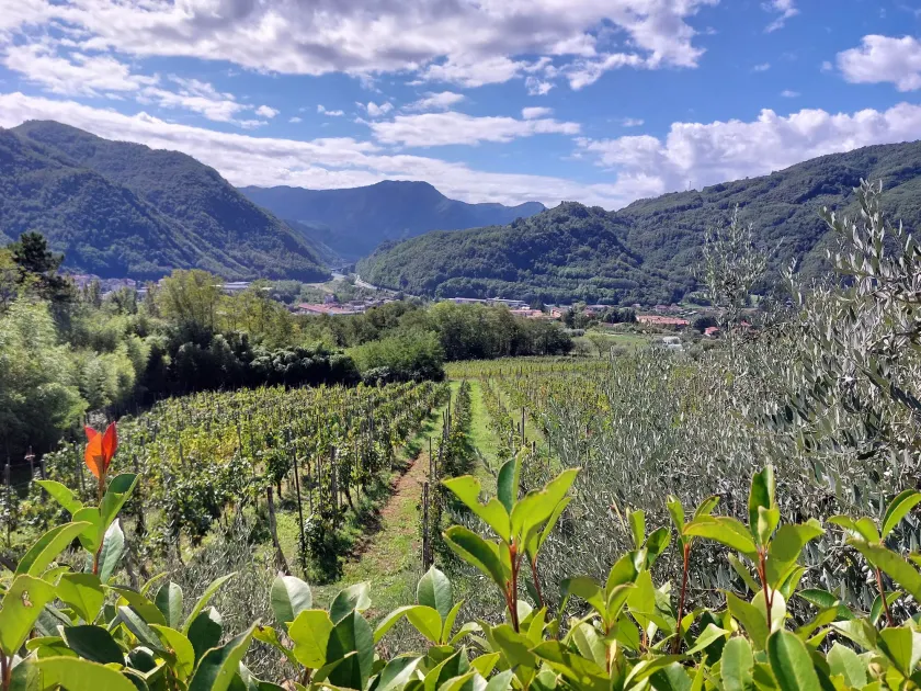 Agriturismo Tenuta La Fratta - Image 1