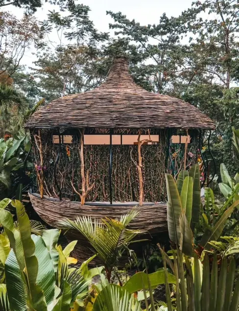 Arenal Palms - Image 1