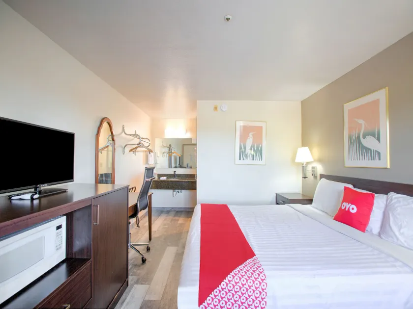 OYO Woodland Hotel and Suites - Image 1