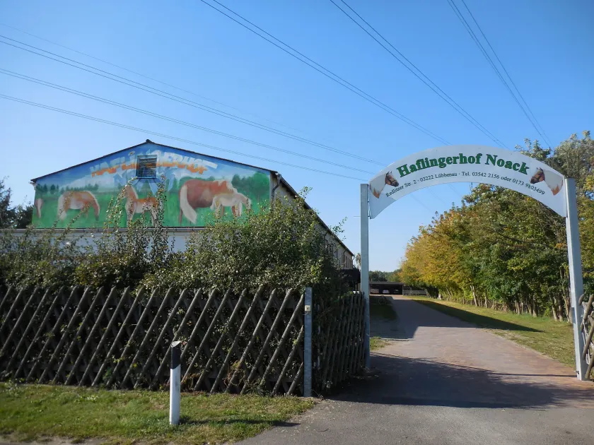 Haflingerhof Noack - Image 1