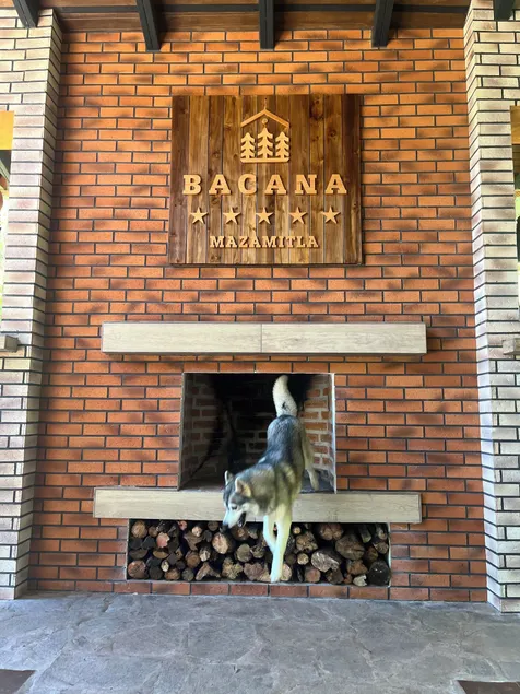 BACANA CABAÑAS DE ALQUILER - Image 1