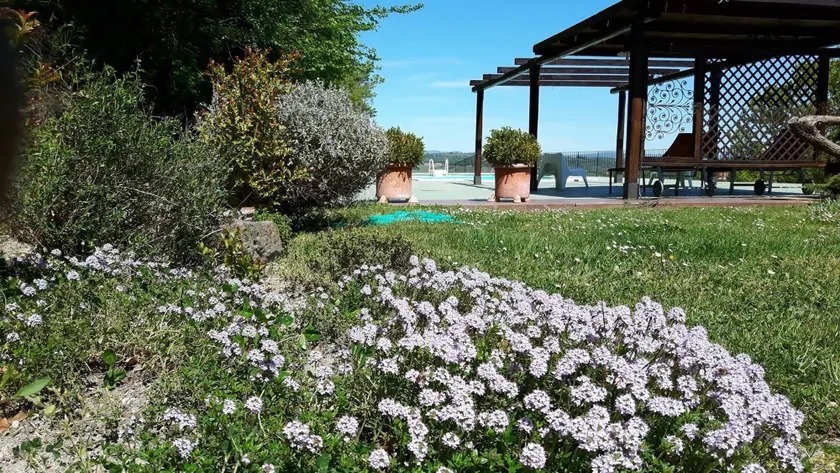 La Macina - Image 1