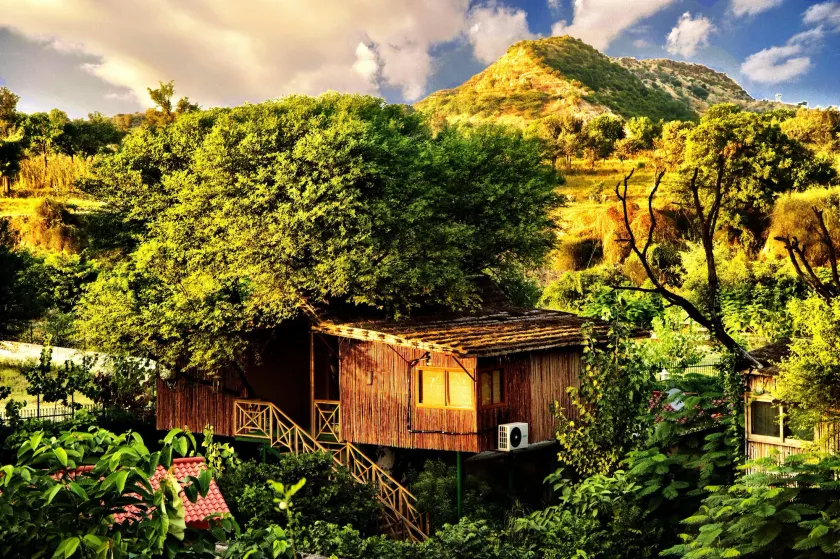The Tree House Resort, Jaipur- A Club Mahindra Associate - Image 1