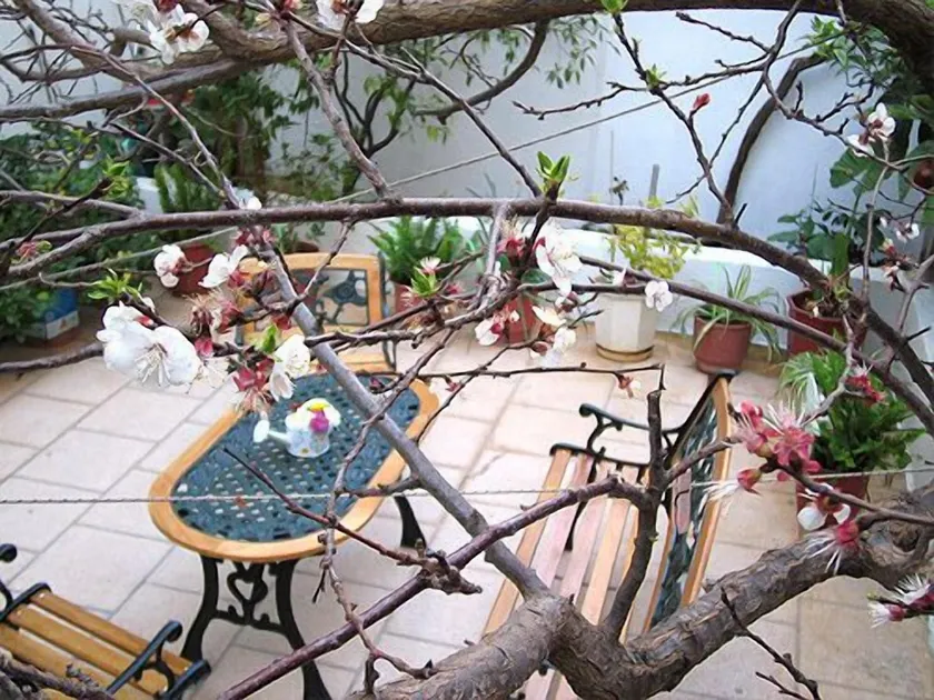 Hotel Doxa - Image 1