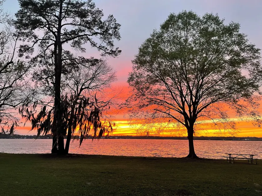Lake Blackshear Resort Golf Club - Image 1