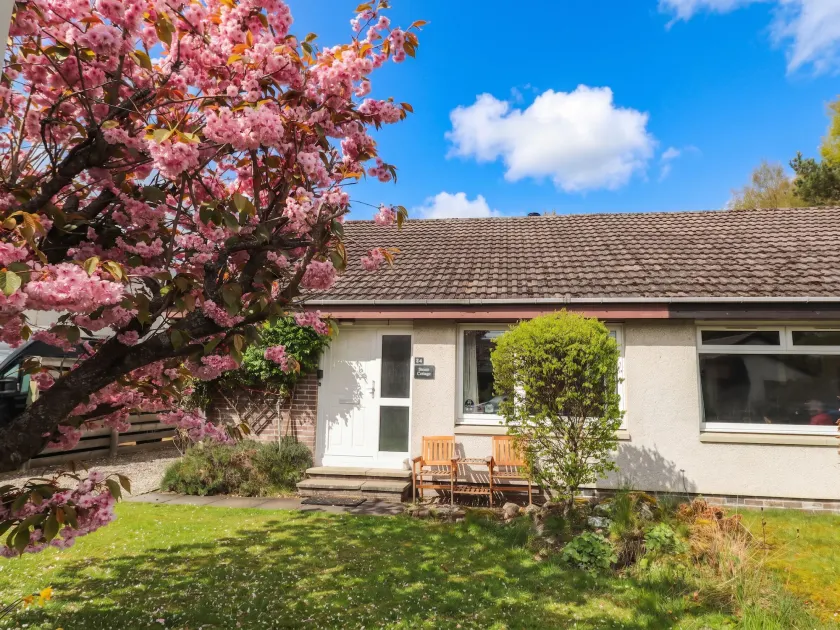 Steam Cottage - Image 1