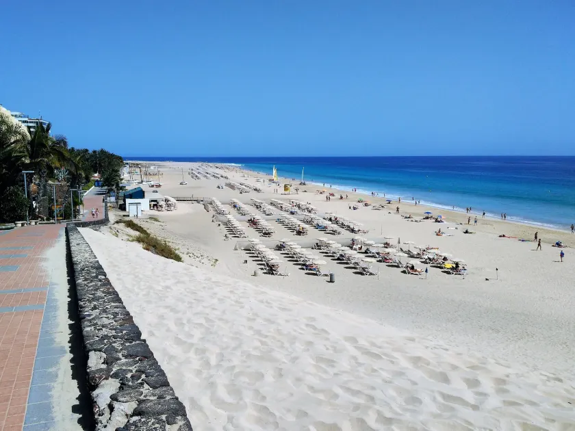Apartamentos Palm Garden - Image 1