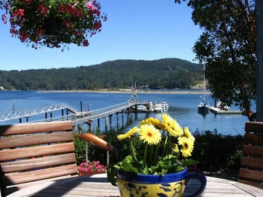 Salty Towers Oceanfront Cottages - Image 1