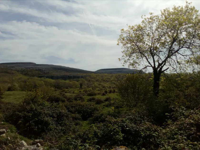 Burren Bushcraft - Camping & Adventures - Image 1