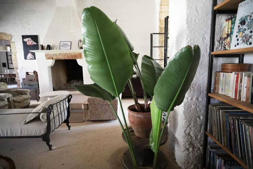 Masseria Caretti Grande - Lobby