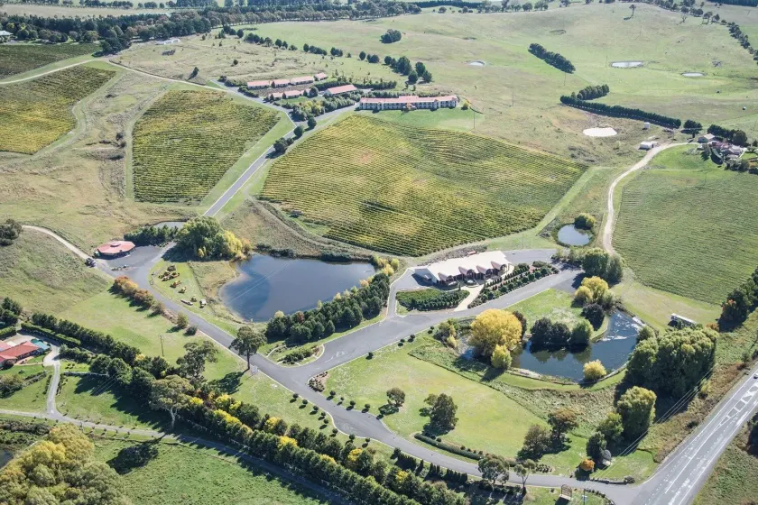 Turners Vineyard  - Image 1